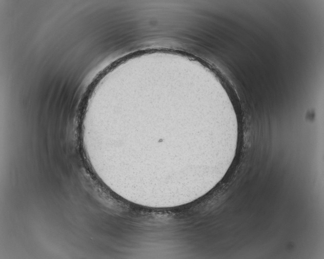 X0000115650975200912221327