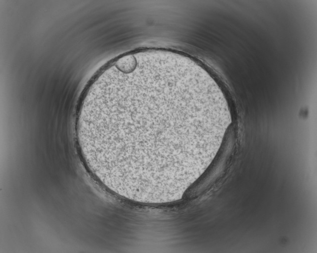 X0000115650976200912221327