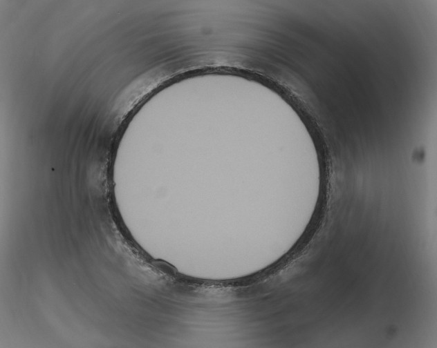 X0000115650977200912221327