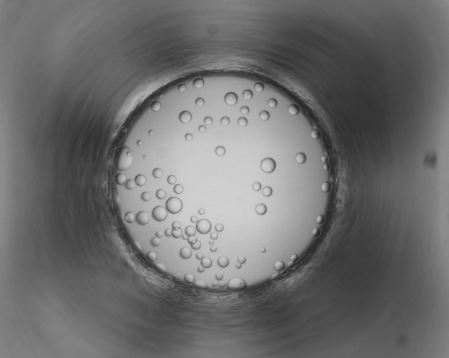 X0000115650978200912221327