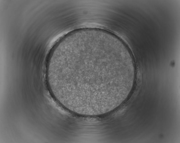 X0000115650979200912221327