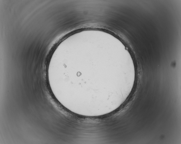 X0000115650981200912221327