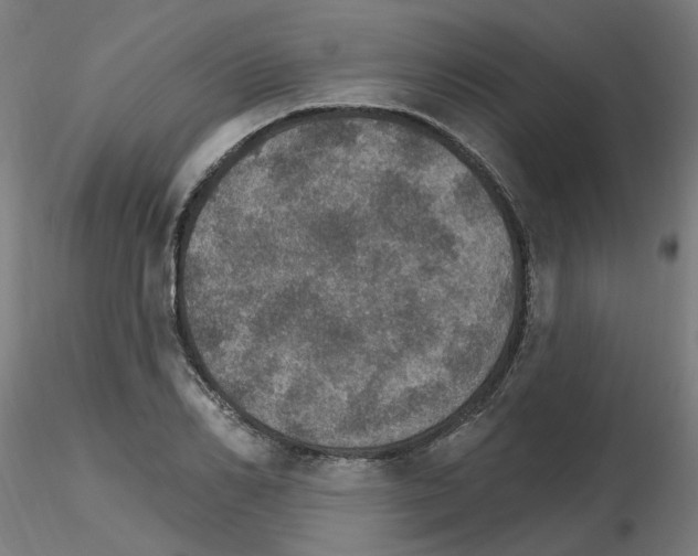 X0000115650982200912221327
