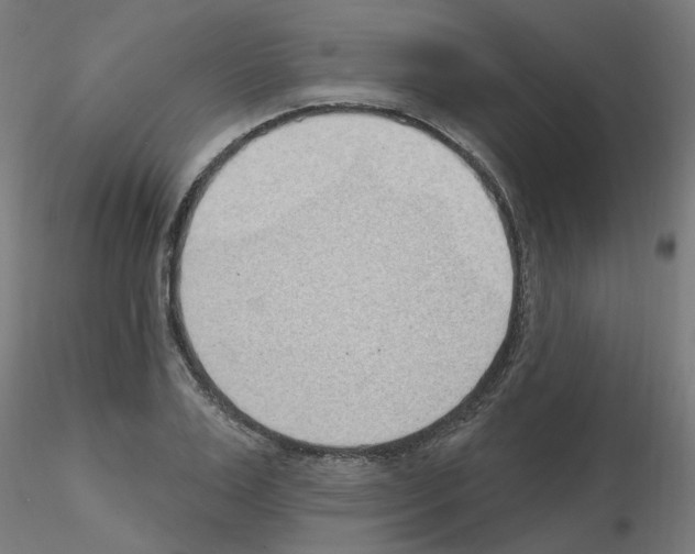 X0000115650983200912221327