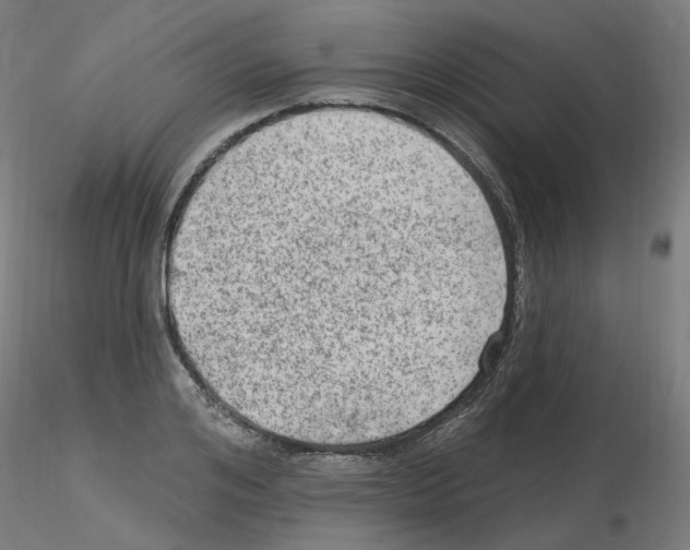 X0000115650984200912221327