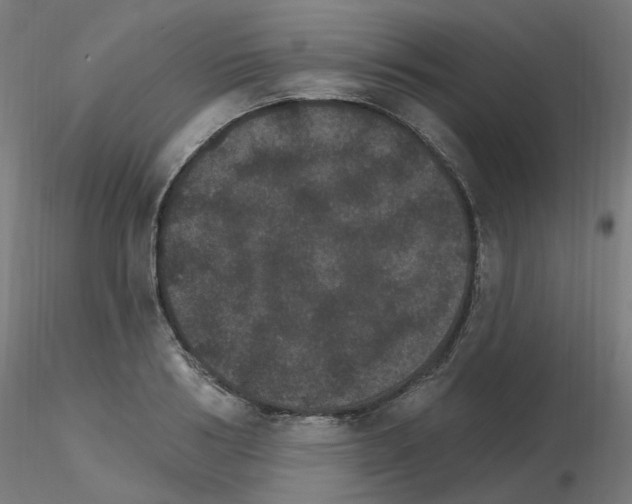 X0000115650986200912221327
