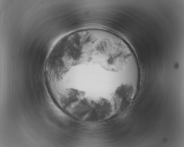X0000115650987200912221327
