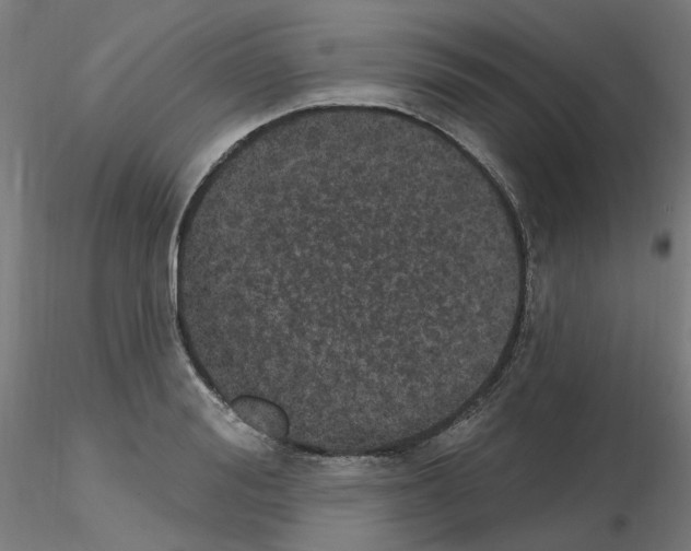 X0000115650988200912221327