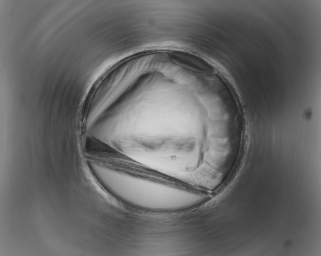 X0000115650989200912221327