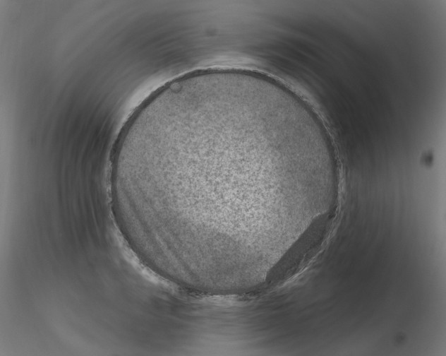 X0000115650990200912221327