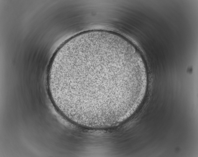 X0000115650991200912221327