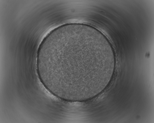 X0000115650992200912221327