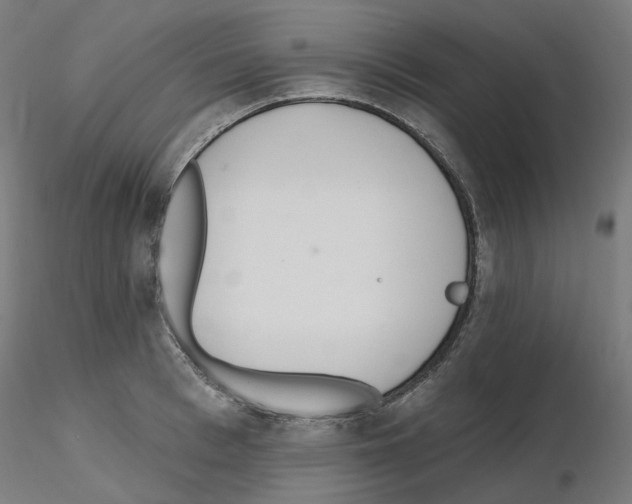 X0000115650993200912221327