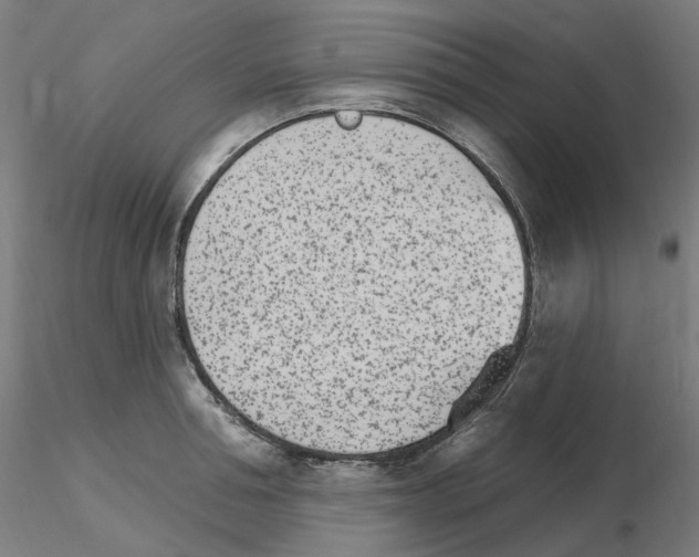X0000115650994200912221327