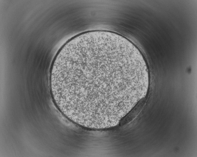 X0000115650996200912221327