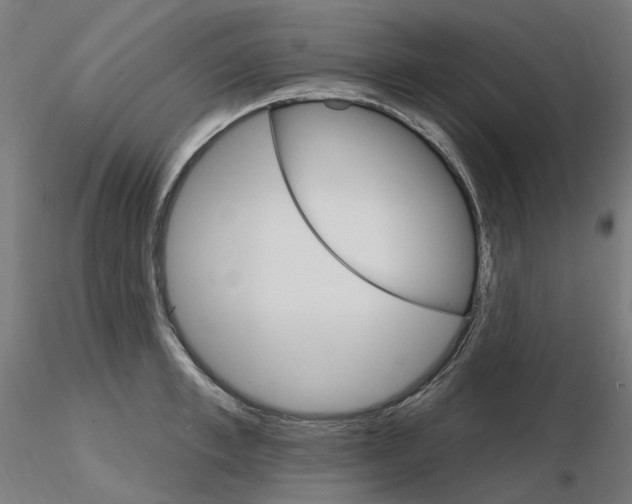 X0000115650997200912221327