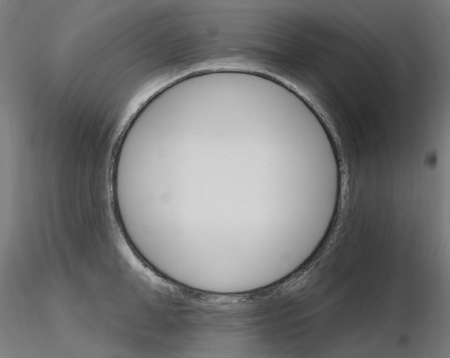 X0000115650998200912221327