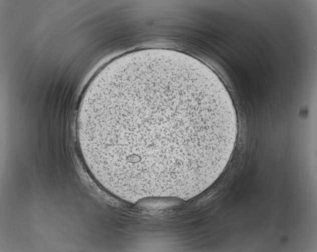 X0000115651000200912221327