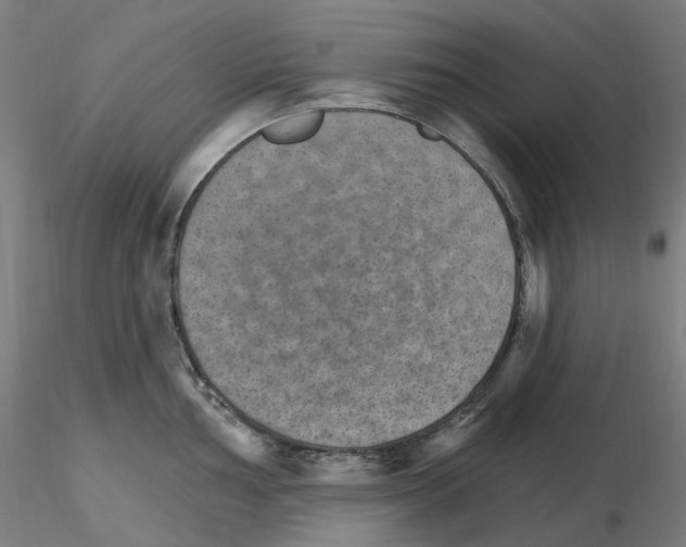 X0000115651002200912221327