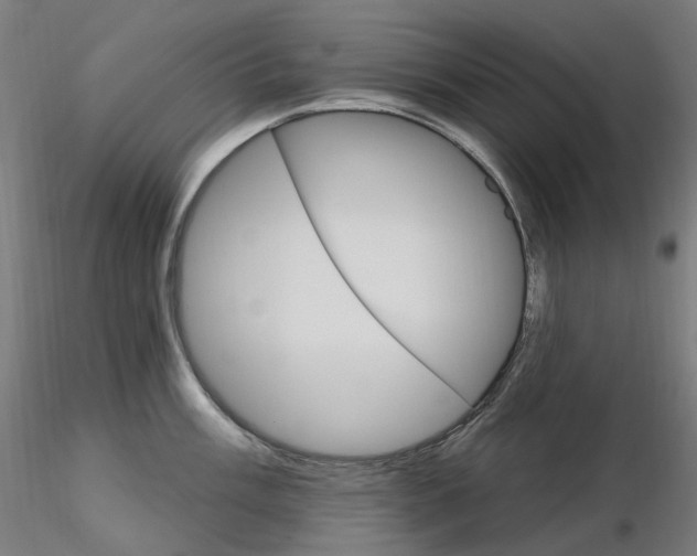 X0000115651003200912221327