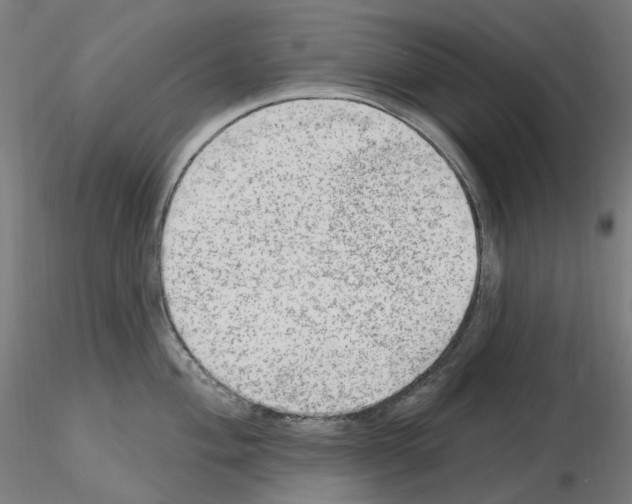 X0000115651004200912221327