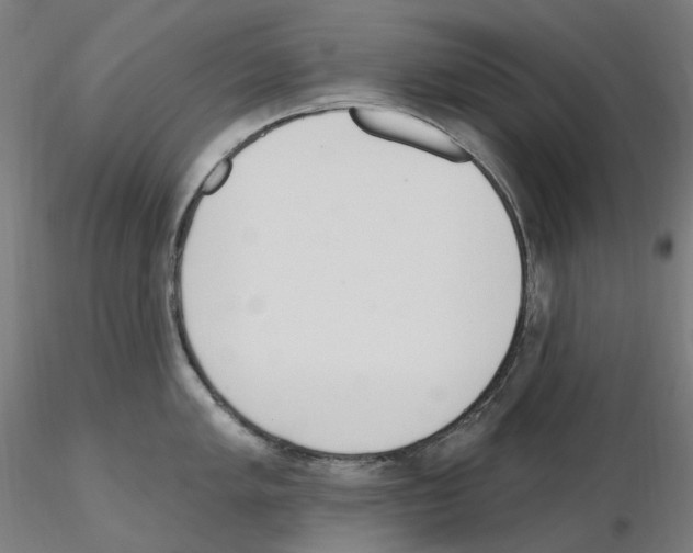 X0000115651005200912221327