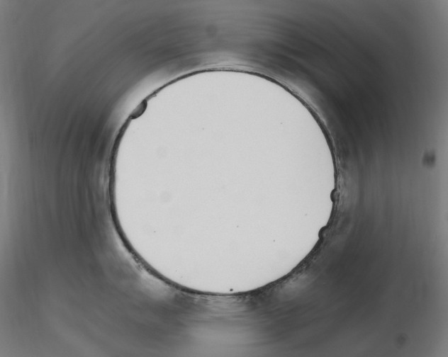 X0000115651007200912221327