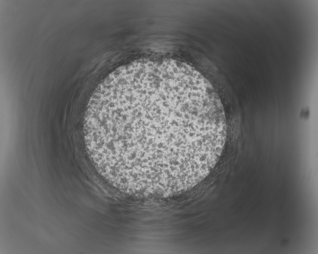 X0000115651009200912221326