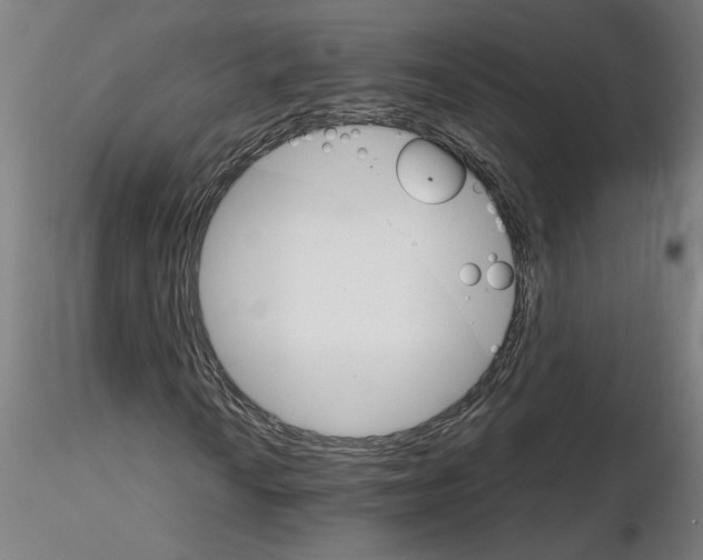 X0000115651010200912221326