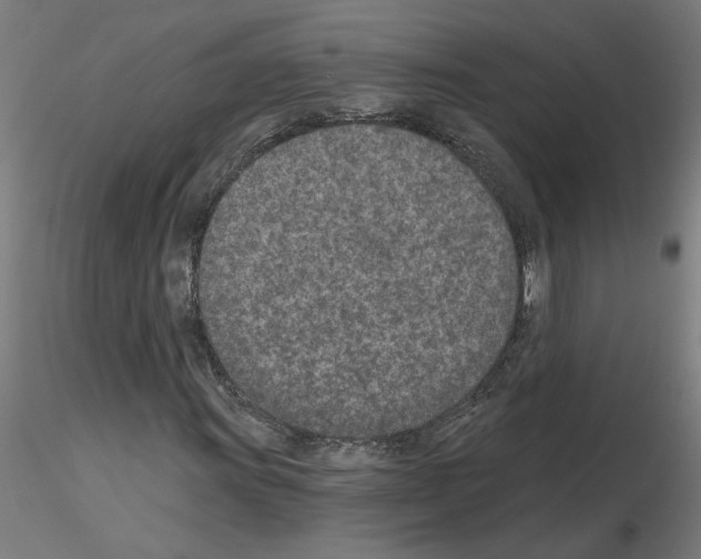 X0000115651011200912221326
