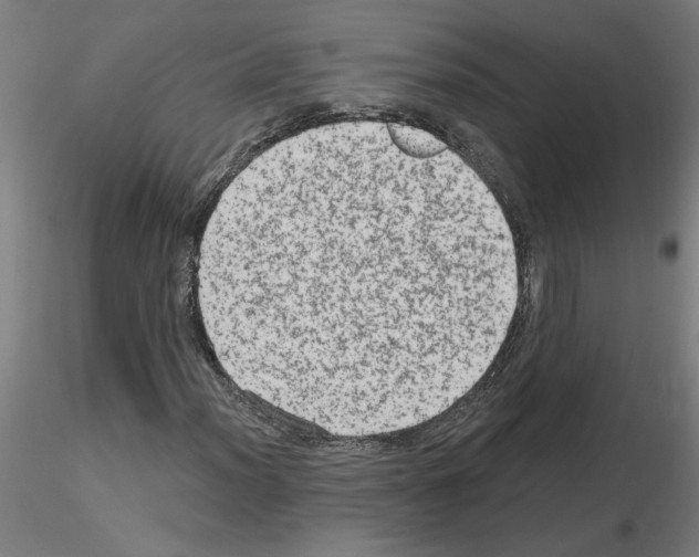 X0000115651012200912221326