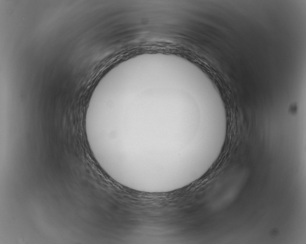 X0000115651013200912221326