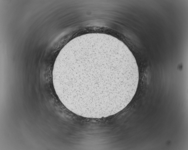 X0000115651014200912221326