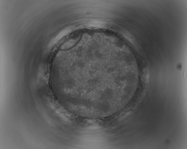 X0000115651015200912221326