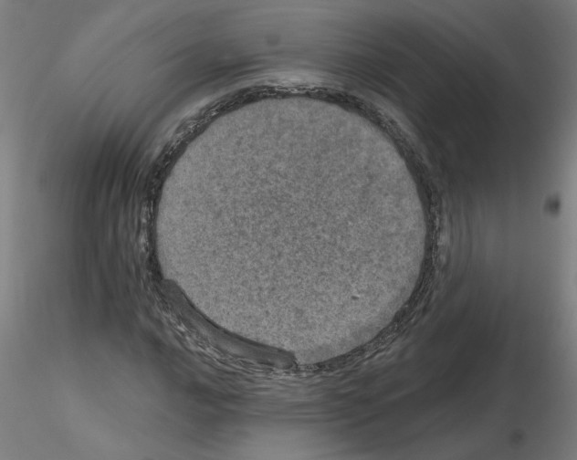 X0000115651016200912221326