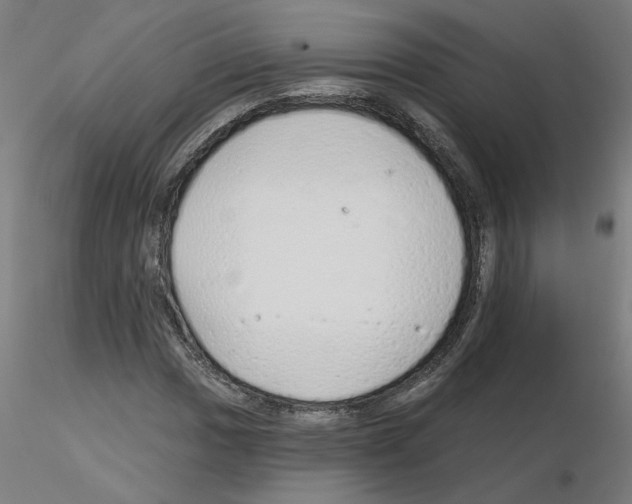 X0000115651017200912221326