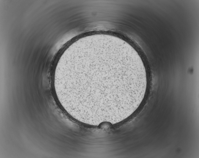 X0000115651018200912221326