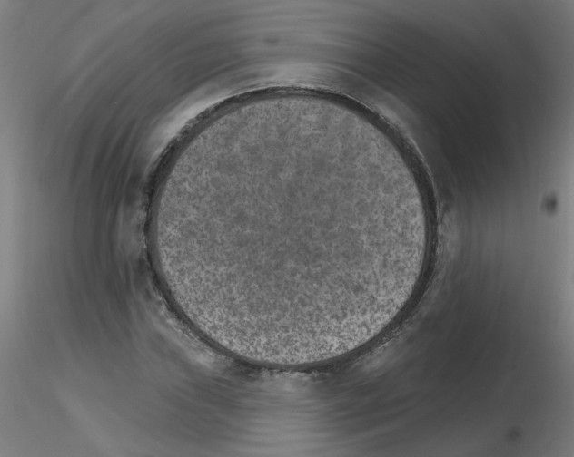 X0000115651019200912221326