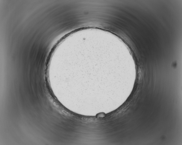 X0000115651020200912221326