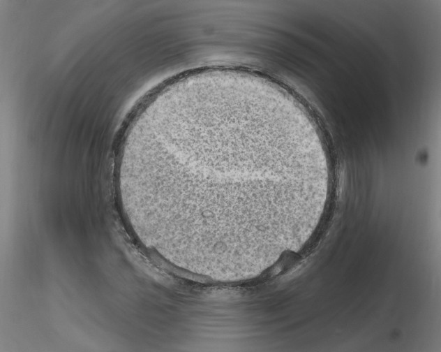 X0000115651021200912221326
