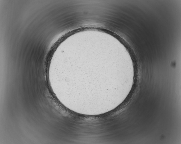 X0000115651022200912221326