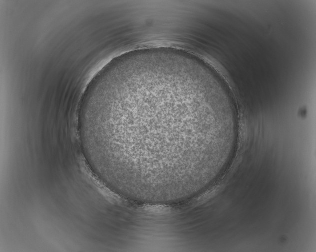 X0000115651023200912221326