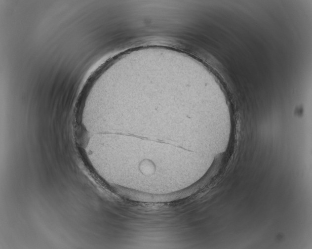 X0000115651024200912221326
