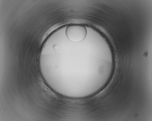X0000115651025200912221326