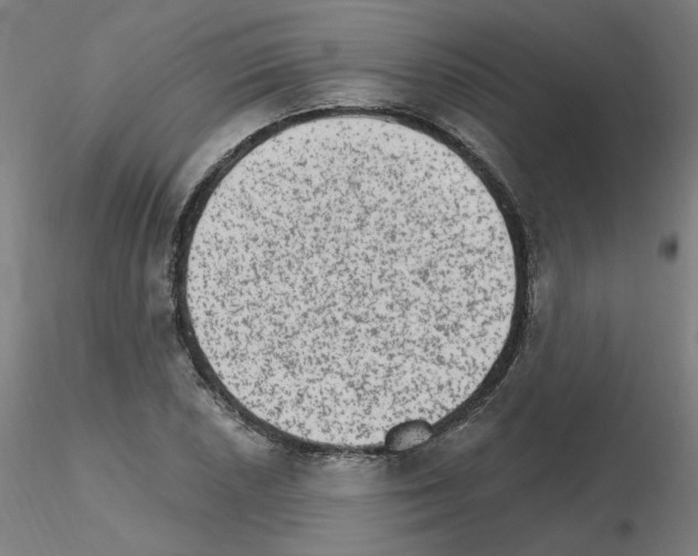 X0000115651026200912221326