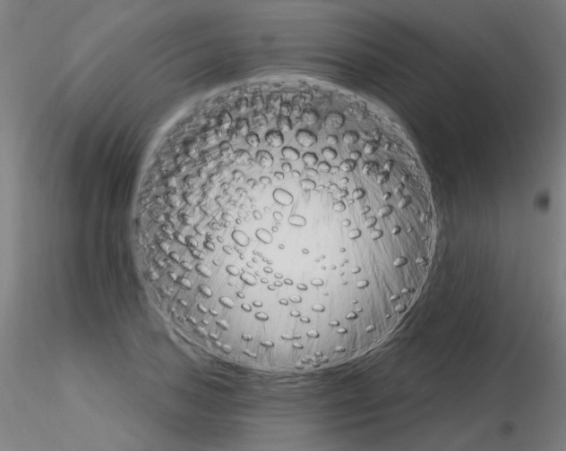 X0000115651027200912221327