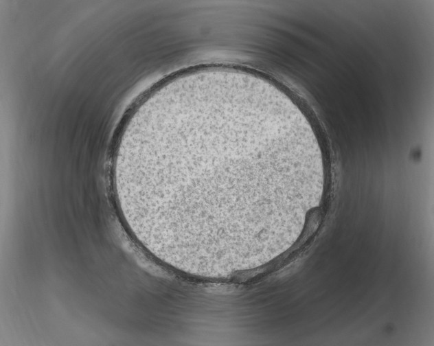 X0000115651029200912221327