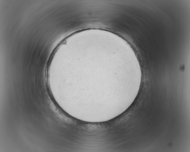 X0000115651032200912221327