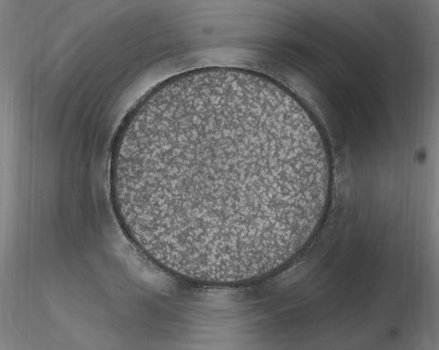 X0000115651035200912221327