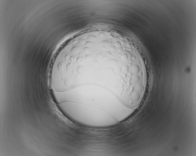 X0000115651036200912221327